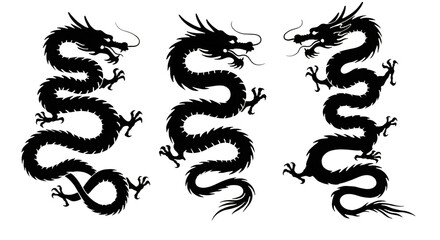 Obraz premium Dragon Silhouette Art