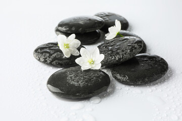 Wet spa stones and beautiful flowers on white background, closeup