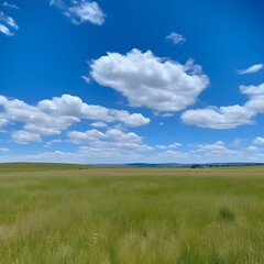 Obraz premium Serene Grassland Under a Blue Sky With Fluffy Clouds