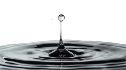 Water drop splashing making circular ripples with transparent background