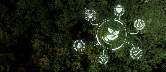 Hands protecting globe of green tree on forest background, Ecology and Environment concept