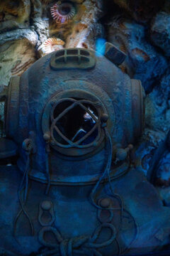 Mesmerizing view of the vibrant marine life inside The National Aquarium, Abu Dhabi