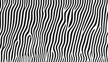 Obraz premium Zebra stripes. Black and white pattern. Background. Stock photo