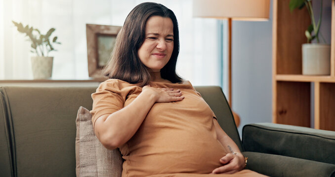 Pregnant, heartburn and woman with pain in home for hormonal symptoms, nausea and maternity discomfort. Pregnancy, person and sore chest on sofa with acid reflux, prenatal bloating and healthcare