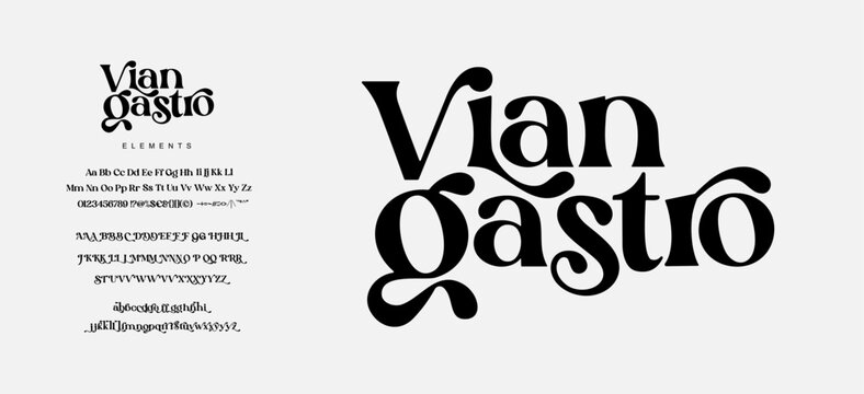 Elegant Font Uppercase Lowercase and Number. Classic Lettering Minimal Fashion Designs. Typography  fonts regular decorative vintage concept. vector illustration