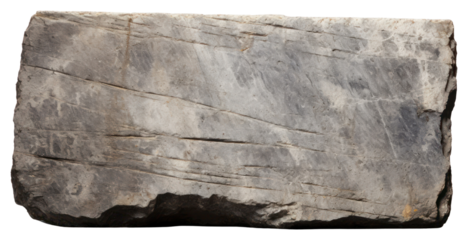 PNG Wood rock white background paleontology.