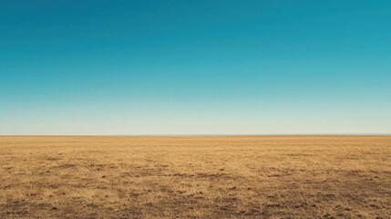 Fototapeta premium Vast Golden Plain Under Clear Blue Sky with No Clouds and Endless Horizon in the Distance