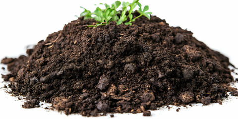 Rich Soil with Sprout Photo