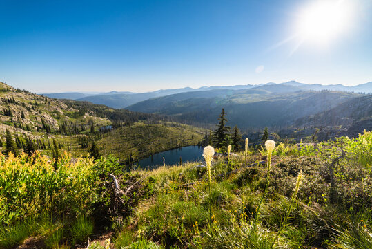 Beargrass And Alpine Lakes And Ridges