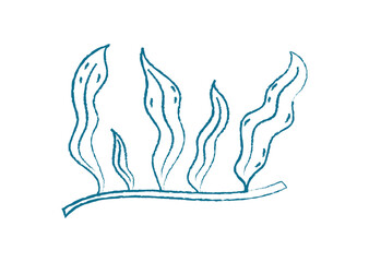Underwater seaweed plant. Aquatic flora illustration. Texture and shape in a chalk and crayon style, perfect for marine projects, posters, educational materials.
