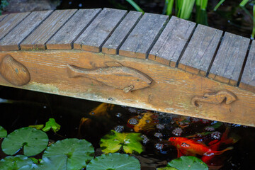 Fish pond bridge