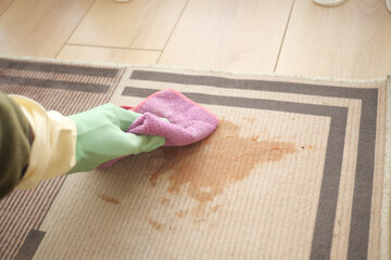 Cleaning a carpet stain with a cloth and gloved hand at home