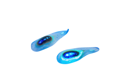 Two glowing blue cells or nanobots floating on transparent background