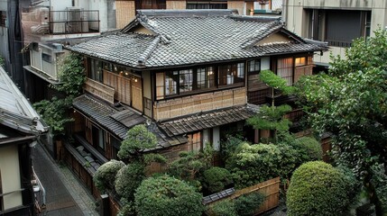 Stylish Japanese Home with Rooftop Garden in Urban Setting