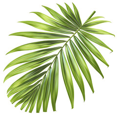 .Illustration of trees, leaves, grass and various botanical elements on a white background.