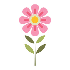 Pink Flower with Yellow Center and Geometric Petals Illustration