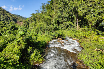 Beautiful nature deep jungle river in Sabah Malaysian Borneo