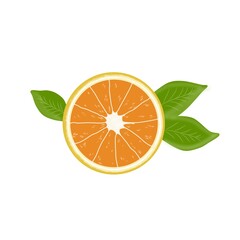 fresh orange slices and leaves on white background