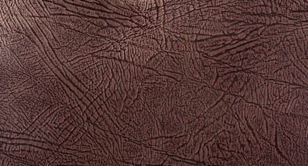 Brown leather textured background.