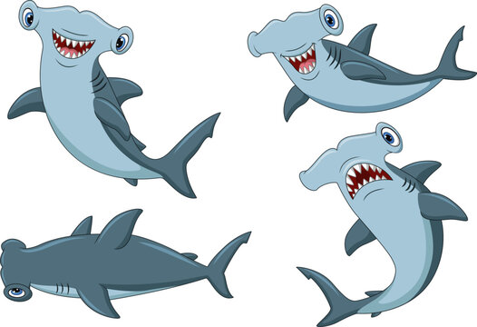 hammerhead shark head clipart
