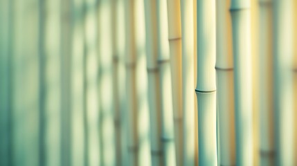 Close-up of Bamboo Stalks in Natural Light Creates Calm Background