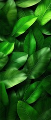 Lush Green Tropical Leaves Background