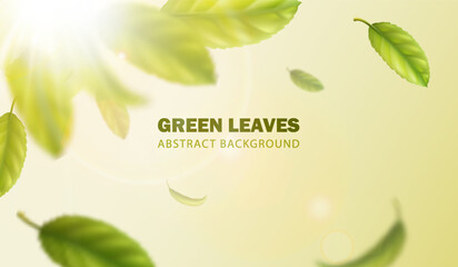  3d realistic vector illustration banner. Flying green tea leaves effect with sunbeam.