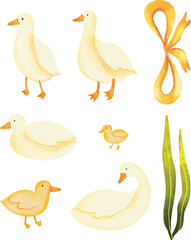 Watercolor illustration set of cute duck in different poses isolated on white background. Bright, Duck illustration in a children's watercolor style. Duck with Baby Watercolor Clip Art, cute duck