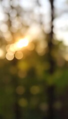 Obraz premium Generative AI Golden hour bokeh through trees create a blurry dreamlike atmosphere, evokes warmth and natural beauty of sunlight