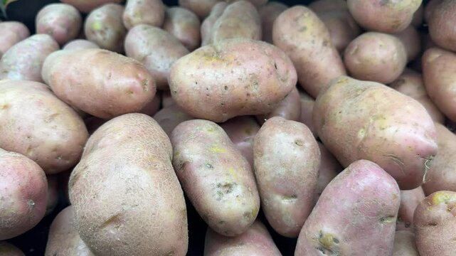 Pink potato may refer to the Asterix potato, the pink potato or the pink sweet potato.