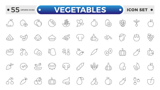 Vegetarian, vegetable, veggies outline icon set. Included the simple vector icons as tomato, cucumber, kohlrabi, cauliflower, pattypan squash, fiddleheads, daikon. Editable stroke outline icon. 
