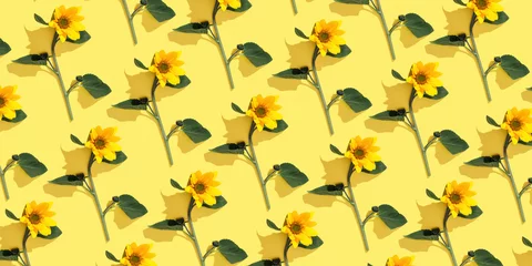 Floral banner with blossoming sunflowers on yellow background, Summer geometric non-seamless pattern of delicate blooms, sunlight shadow. Flowery botanical design, trend ornament vivid color