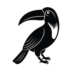 toucan bird vector illustration
