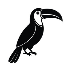 toucan bird vector illustration
