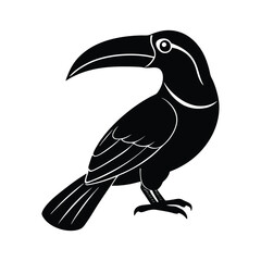 toucan bird vector illustration
