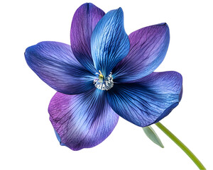 Detailed Close-Up Of A Vibrant Blue And Purple Flower