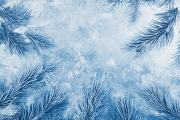 Frosty winter branches on icy background.