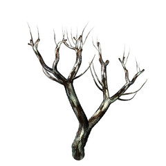 dry tree branch 