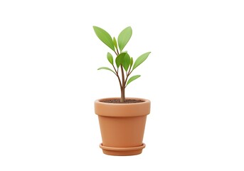 3D flower pot with a plant