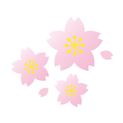 桜と花びらのイラスト