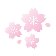桜と花びらのイラスト