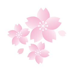 桜と花びらのイラスト