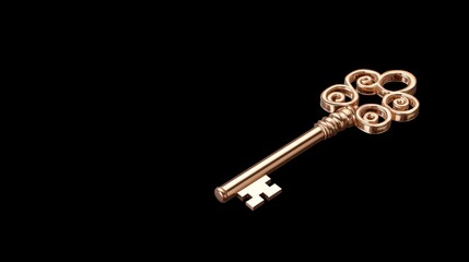 Ornate Key on Black Background (1)