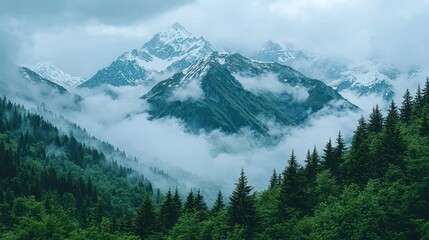Fototapeta premium Mountain peaks rise above the foggy forest, capped with snow. Dreamy view