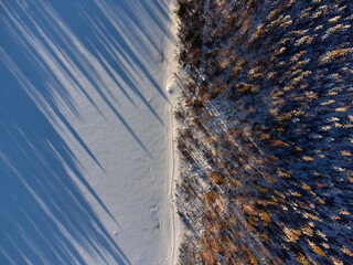 Trees & Long Shadows on Snowy Lake, Saariselka Finland