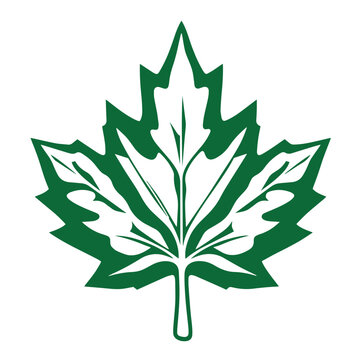 recommend clip art: Maple leaf leaves autumn tree nature line and flat isolated vector outline illustration.