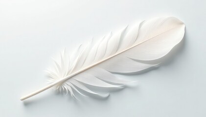 Shimmering white feather against stark white backdrop, glossy, closeup, visual