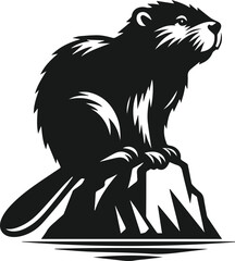 Beaver perched on a large rock vector