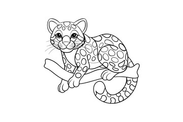 Set of Animal coloring book