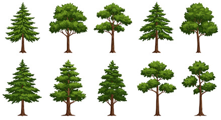 Mixed Forest Trees Collection